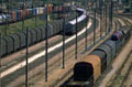 train